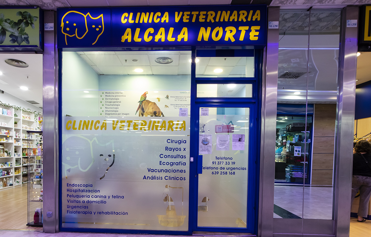 Veterinari_alcala_1