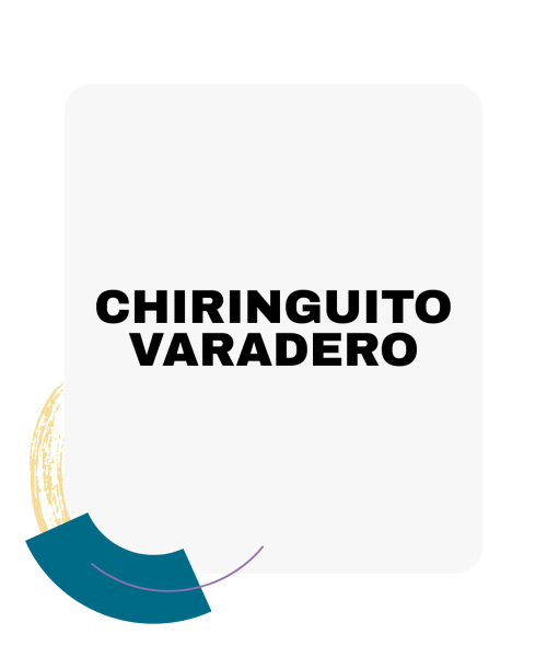 Chiringuito varadero
