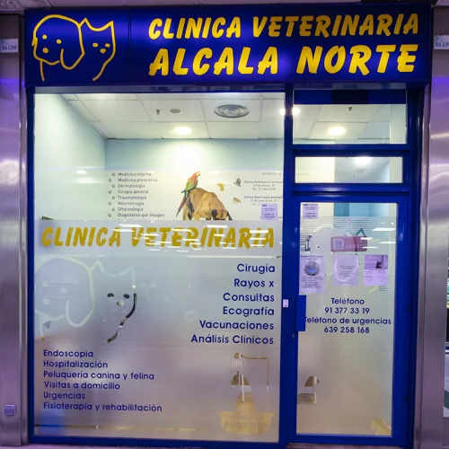 Veterinari_alcala_P